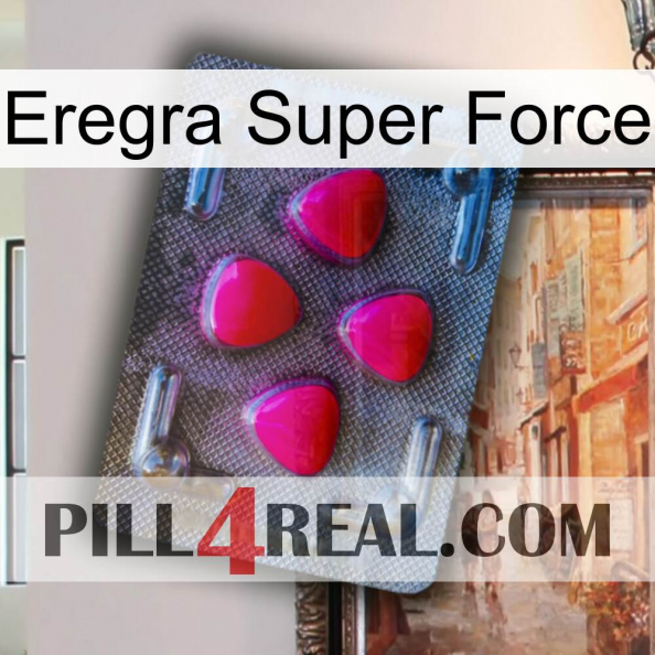 Eregra Super Force 13.jpg